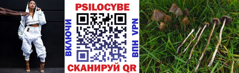 Галлюциногенные грибы Magic Shrooms  Плёс 